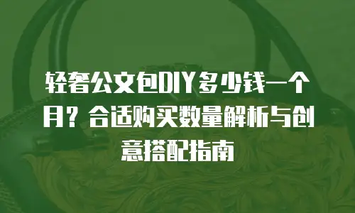 轻奢公文包DIY多少钱一个月？合适购买数量解析与创意搭配指南
