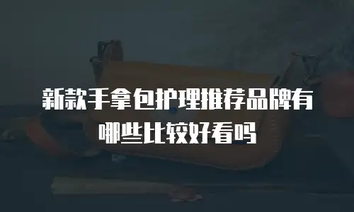 新款手拿包护理推荐品牌有哪些比较好看吗