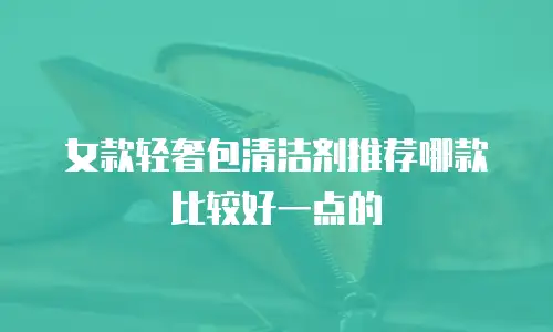 女款轻奢包清洁剂推荐哪款比较好一点的