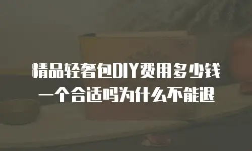 精品轻奢包DIY费用多少钱一个合适吗为什么不能退