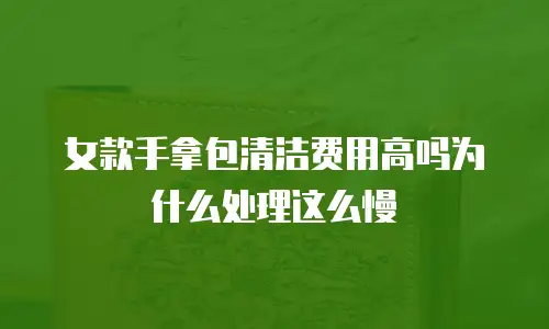 女款手拿包清洁费用高吗为什么处理这么慢