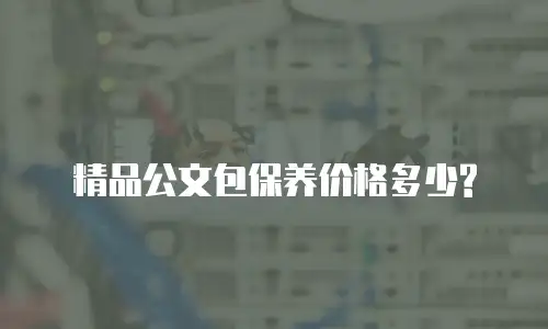 精品公文包保养价格多少?