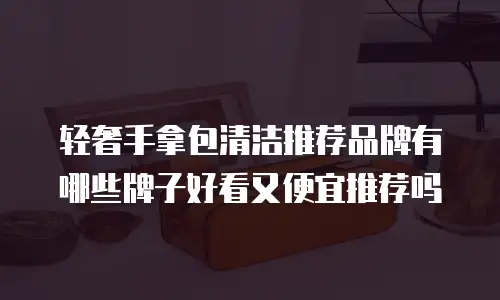 轻奢手拿包清洁推荐品牌有哪些牌子好看又便宜推荐吗