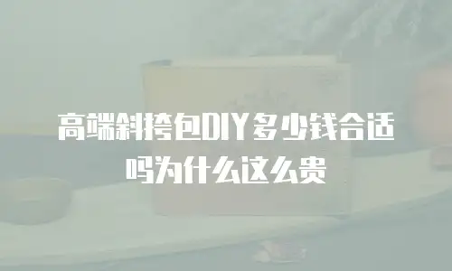 高端斜挎包DIY多少钱合适吗为什么这么贵