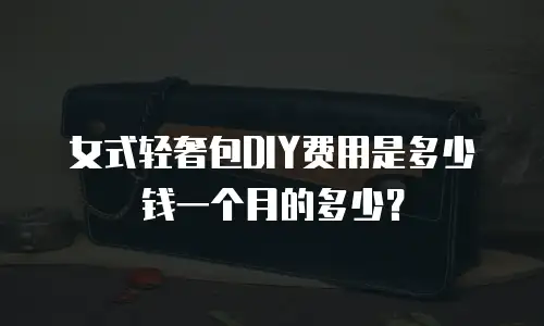 女式轻奢包DIY费用是多少钱一个月的多少？