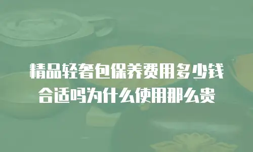 精品轻奢包保养费用多少钱合适吗为什么使用那么贵