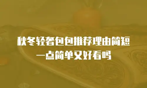 秋冬轻奢包包推荐理由简短一点简单又好看吗
