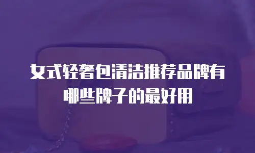 女式轻奢包清洁推荐品牌有哪些牌子的最好用