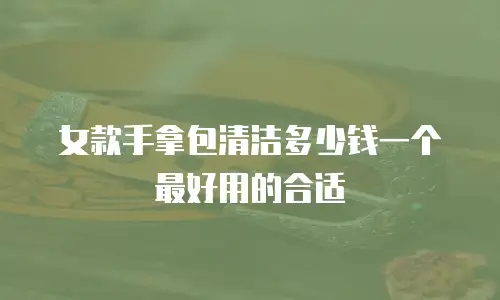 女款手拿包清洁多少钱一个最好用的合适