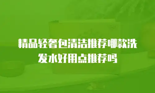 精品轻奢包清洁推荐哪款洗发水好用点推荐吗