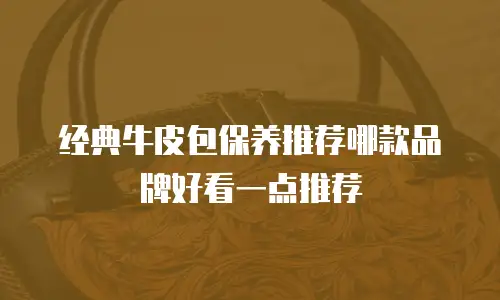 经典牛皮包保养推荐哪款品牌好看一点推荐