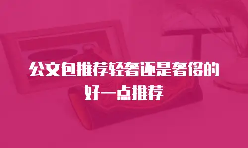 公文包推荐轻奢还是奢侈的好一点推荐