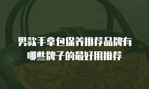 男款手拿包保养推荐品牌有哪些牌子的最好用推荐