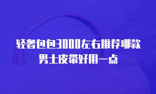 轻奢包包3000左右推荐哪款男士皮带好用一点