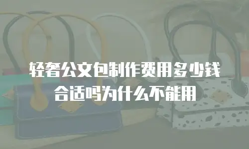 轻奢公文包制作费用多少钱合适吗为什么不能用