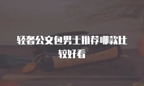 轻奢公文包男士推荐哪款比较好看