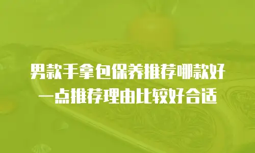 男款手拿包保养推荐哪款好一点推荐理由比较好合适
