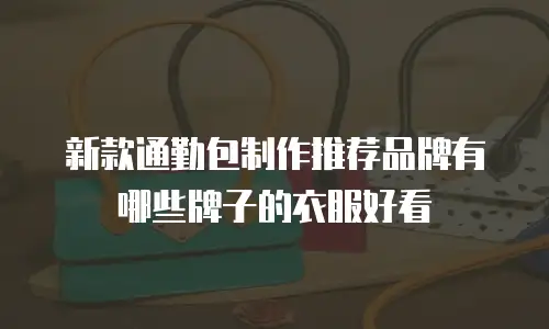 新款通勤包制作推荐品牌有哪些牌子的衣服好看