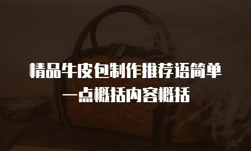 精品牛皮包制作推荐语简单一点概括内容概括