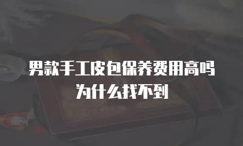 男款手工皮包保养费用高吗为什么找不到