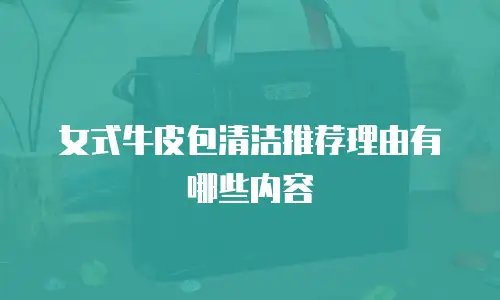 女式牛皮包清洁推荐理由有哪些内容