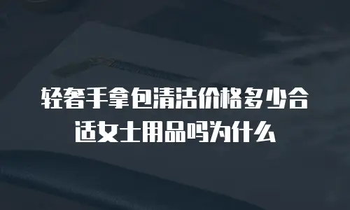 轻奢手拿包清洁价格多少合适女士用品吗为什么