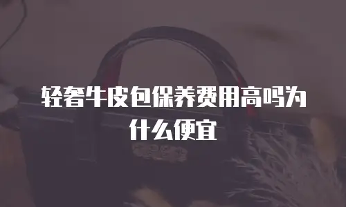 轻奢牛皮包保养费用高吗为什么便宜