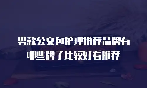 男款公文包护理推荐品牌有哪些牌子比较好看推荐