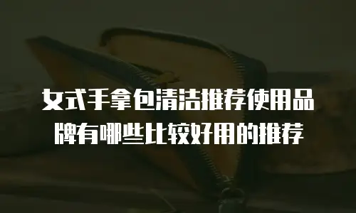 女式手拿包清洁推荐使用品牌有哪些比较好用的推荐
