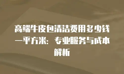 高端牛皮包清洁费用多少钱一平方米：专业服务与成本解析