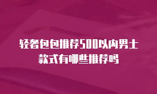 轻奢包包推荐500以内男士款式有哪些推荐吗