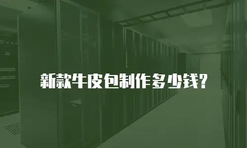 新款牛皮包制作多少钱？