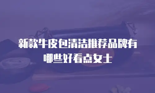 新款牛皮包清洁推荐品牌有哪些好看点女士