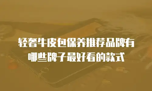 轻奢牛皮包保养推荐品牌有哪些牌子最好看的款式