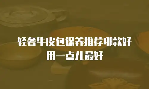 轻奢牛皮包保养推荐哪款好用一点儿最好