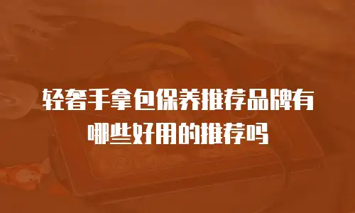 轻奢手拿包保养推荐品牌有哪些好用的推荐吗