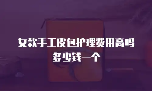女款手工皮包护理费用高吗多少钱一个