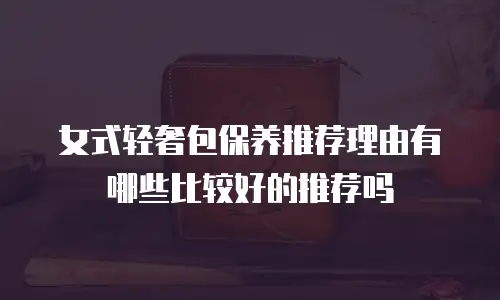 女式轻奢包保养推荐理由有哪些比较好的推荐吗