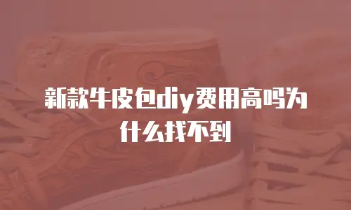 新款牛皮包diy费用高吗为什么找不到