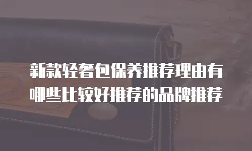 新款轻奢包保养推荐理由有哪些比较好推荐的品牌推荐
