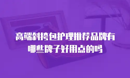 高端斜挎包护理推荐品牌有哪些牌子好用点的吗