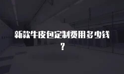 新款牛皮包定制费用多少钱？