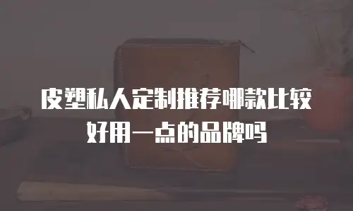 皮塑私人定制推荐哪款比较好用一点的品牌吗