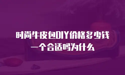 时尚牛皮包DIY价格多少钱一个合适吗为什么