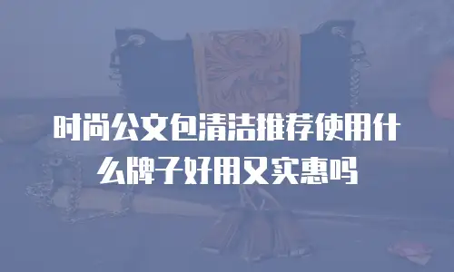 时尚公文包清洁推荐使用什么牌子好用又实惠吗