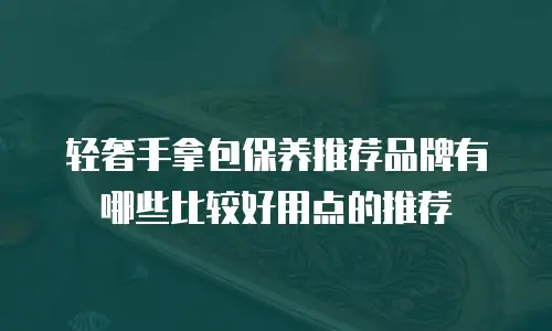 轻奢手拿包保养推荐品牌有哪些比较好用点的推荐