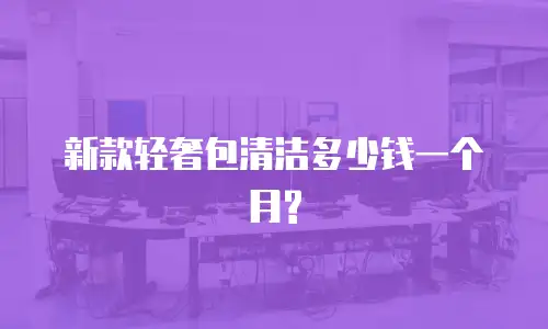 新款轻奢包清洁多少钱一个月?