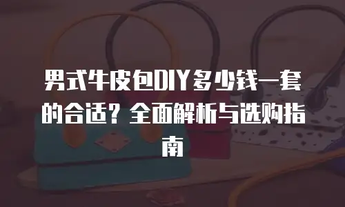 男式牛皮包DIY多少钱一套的合适？全面解析与选购指南