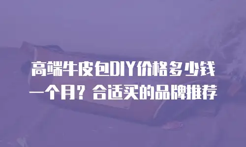 高端牛皮包DIY价格多少钱一个月？合适买的品牌推荐