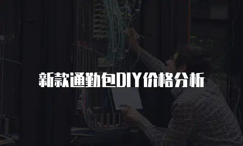  新款通勤包DIY价格分析